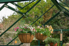 GREENHOUSE 8X6 POLY