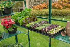GREENHOUSE 8X6 POLY