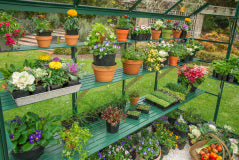GREENHOUSE 8X6 POLY