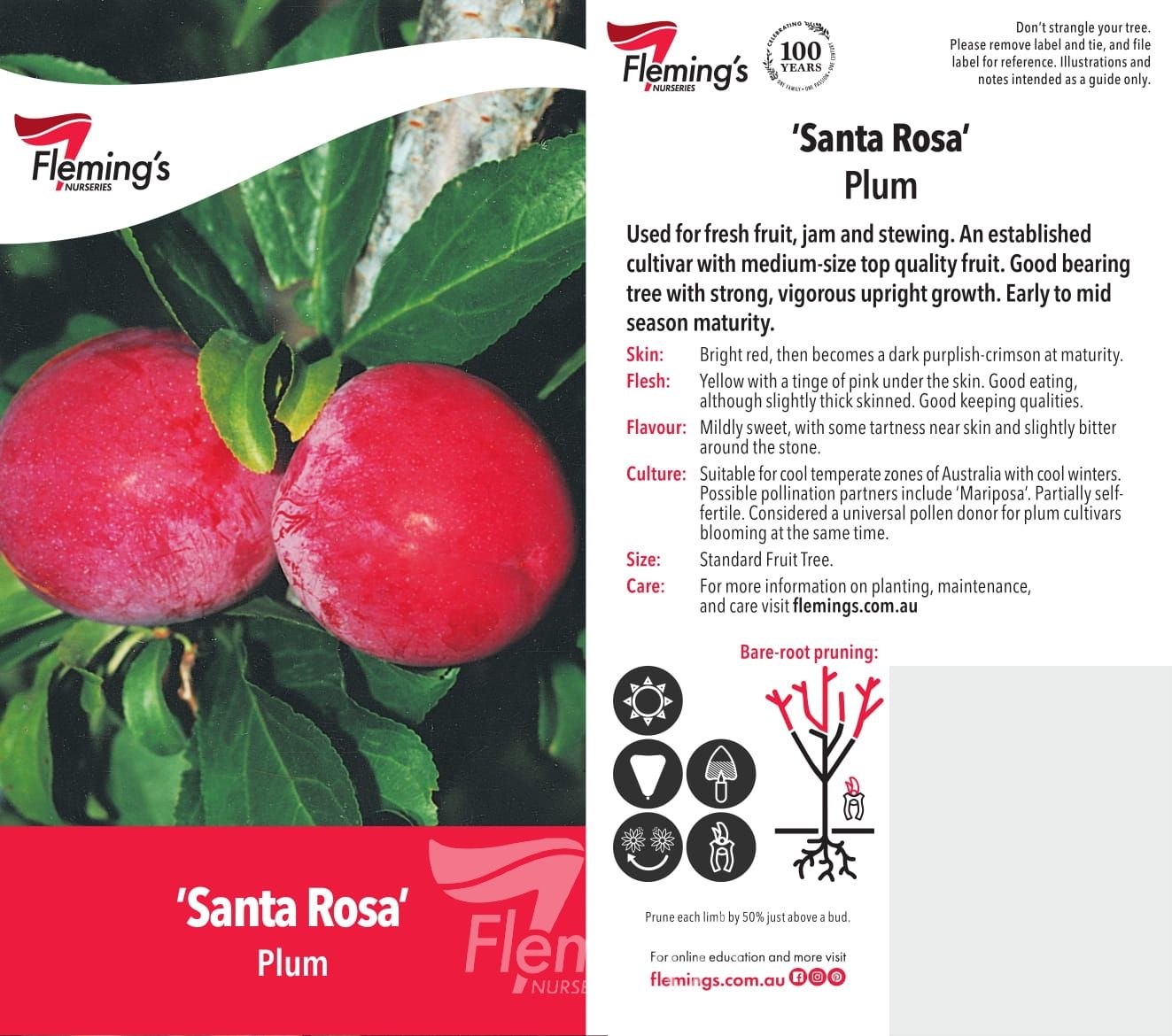 Fruit Trees Category