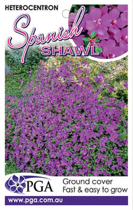 HETEROCENTRON SPANISH SHAWL