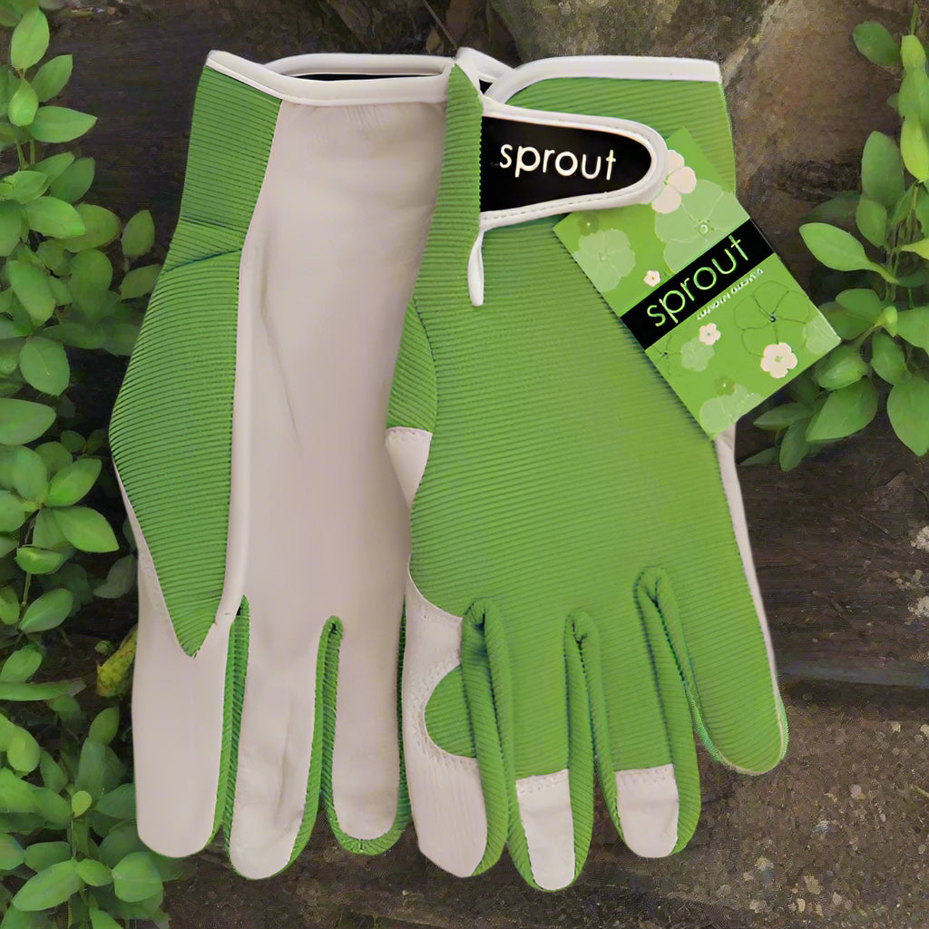 OLIVE - SPROUT LADIES GOATSKIN GLOVES