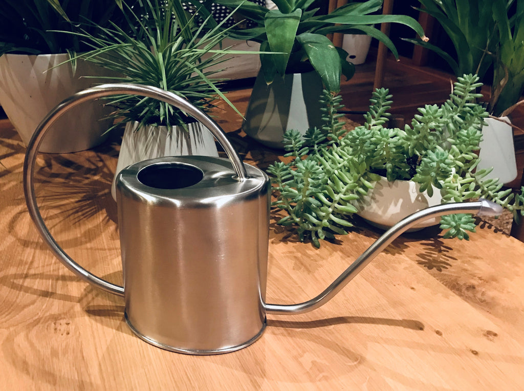 WATERING CAN 1.5L STAINLESS STEEL