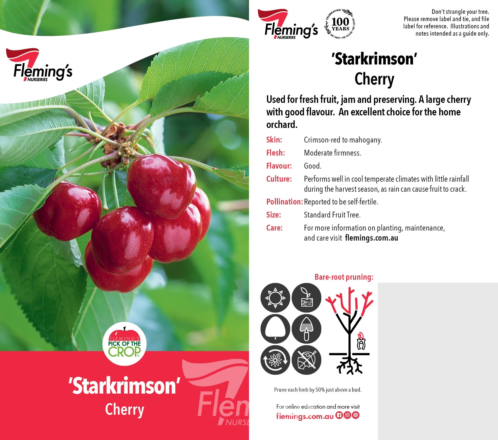 Cherries