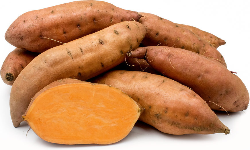 SWEET POTATO 100MM