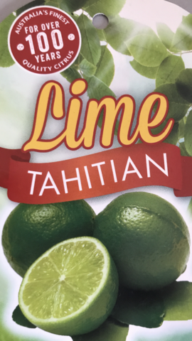 LIME TAHITIAN