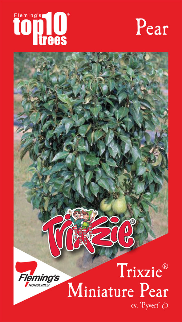 Dwarf Fruit Trees