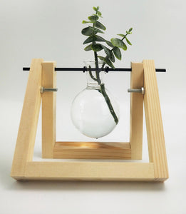 SINGLE PROPAGATION VASE