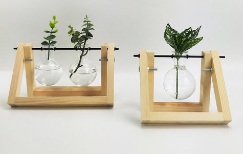 SINGLE PROPAGATION VASE