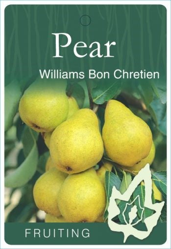 PRE ORDER -PEAR WILLIAMS - BARE ROOTED