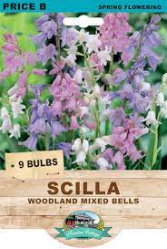SCILLA WOODLAND BELLS MIXED