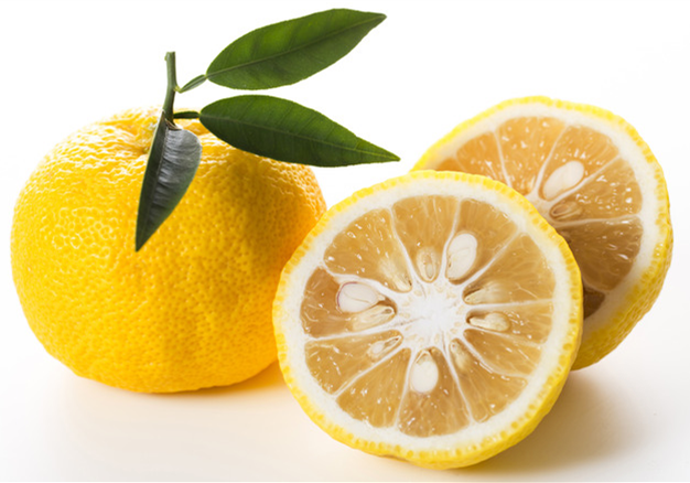 yuzu fruit